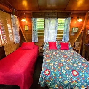 Judy House And Hostal