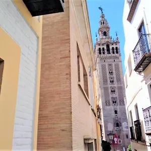 ¡en Frente De La Giralda-catedral! , Seville Spain